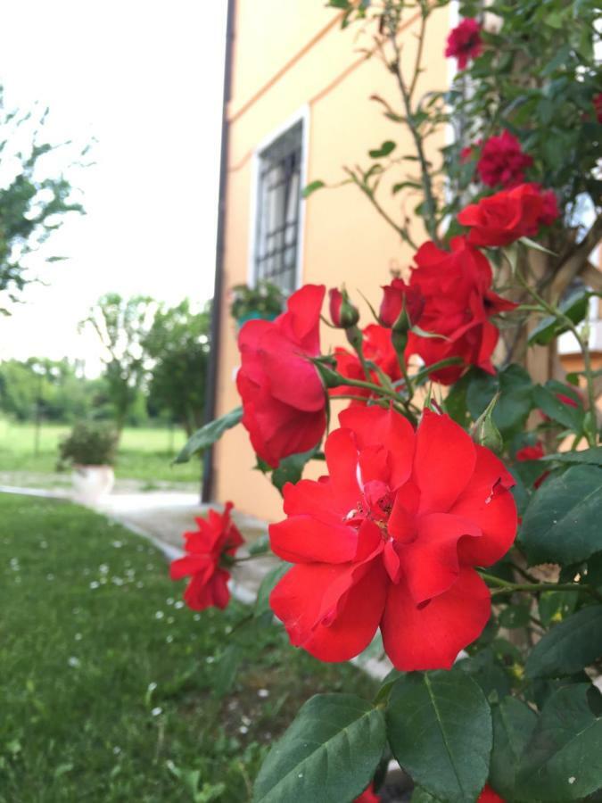 Il "Green " In Giardino Ferrara Exteriör bild